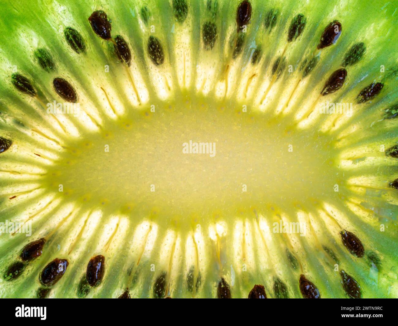Fetta di kiwi. Primo piano. Foto Stock