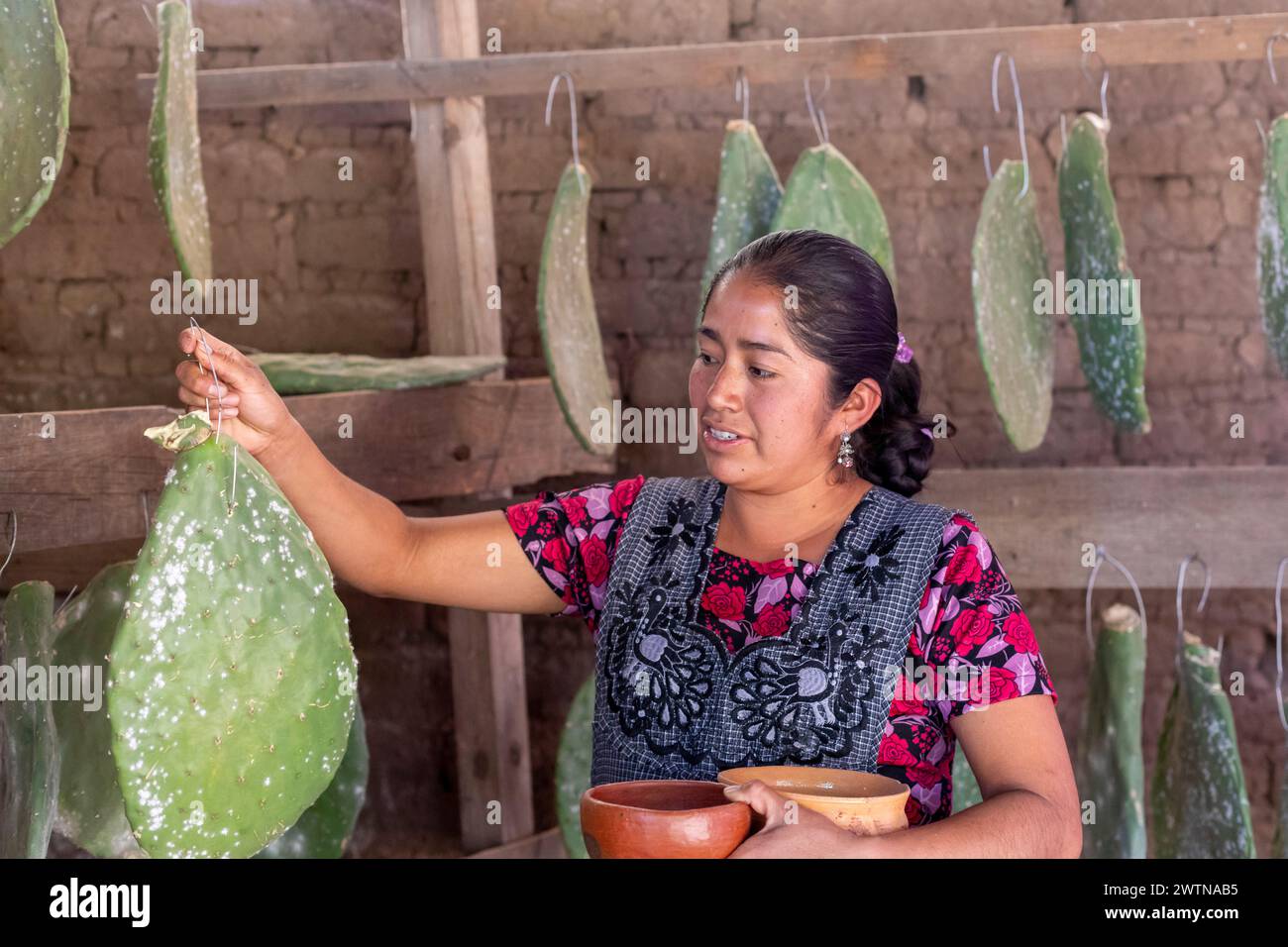 Teotitlan del Valle, Oaxaca, Messico - le donne rurali nella valle di Tlacolula di Oaxaca beneficiano di un programma di prestiti di microfinanza gestito dall'organizzazione no profit EN V. Foto Stock Teotitlan del Valle, Oaxaca, Messico - le donne rurali nella valle di Tlacolula di Oaxaca beneficiano di un programma di prestiti di microfinanza gestito dall'organizzazione no profit EN V. Foto Stock