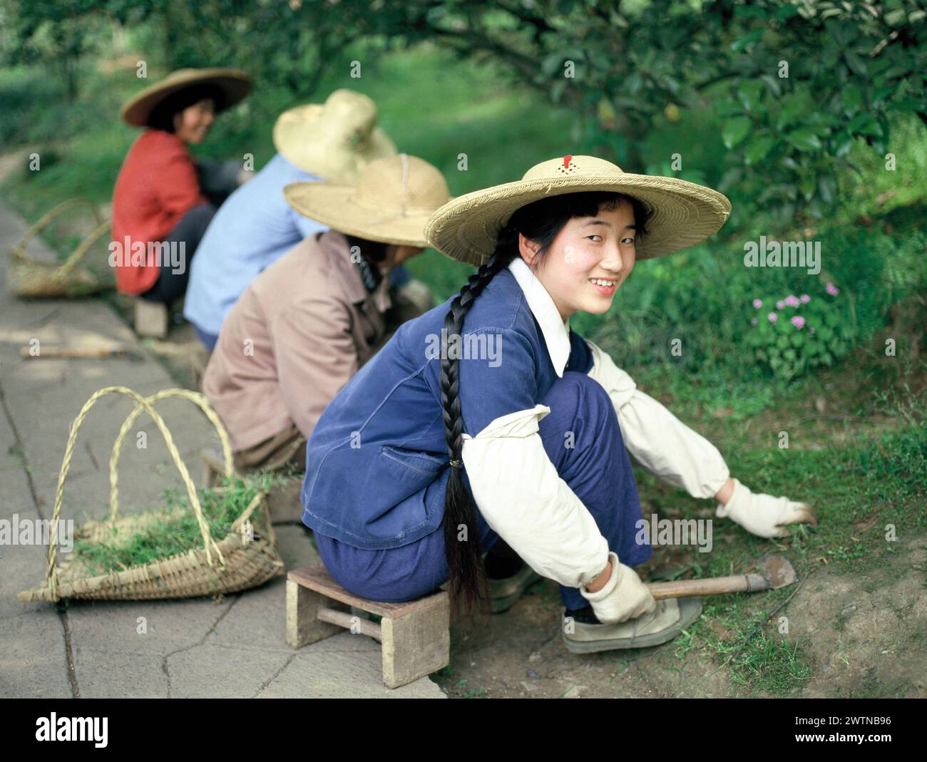 Cina. Zhejiang. Hangzhou. Parco Huagang. Donne che lavorano nei giardini. Foto Stock