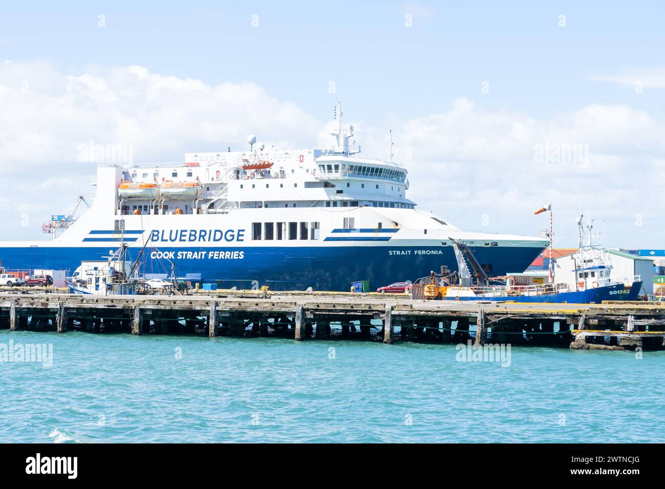 Bluebridge Cook Strait Ferry Wellington Terminal a Wellington, nuova Zelanda. Foto Stock