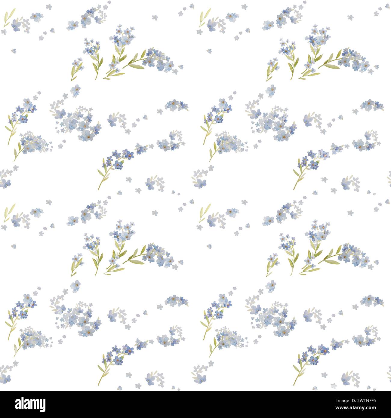 Forget me Not Seamless Pattern Hand Drawn Watercolor. Sfondo blu Fiore. Dimenticami non le illustrazioni disegnate a mano da Floral. Carta da parati floreale bianca Foto Stock