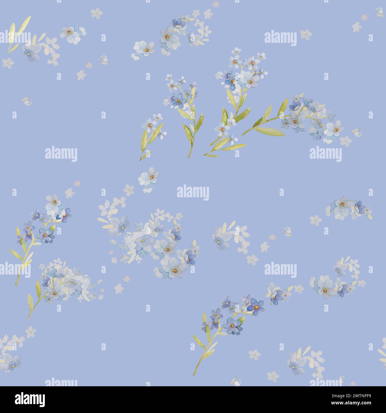 Scordi la mia immagine non senza cuciture Clipart acquerello disegnato a mano. Sfondo blu Fiore. Clip illustrazioni floreali. Sfondo floreale sfondo blu Foto Stock