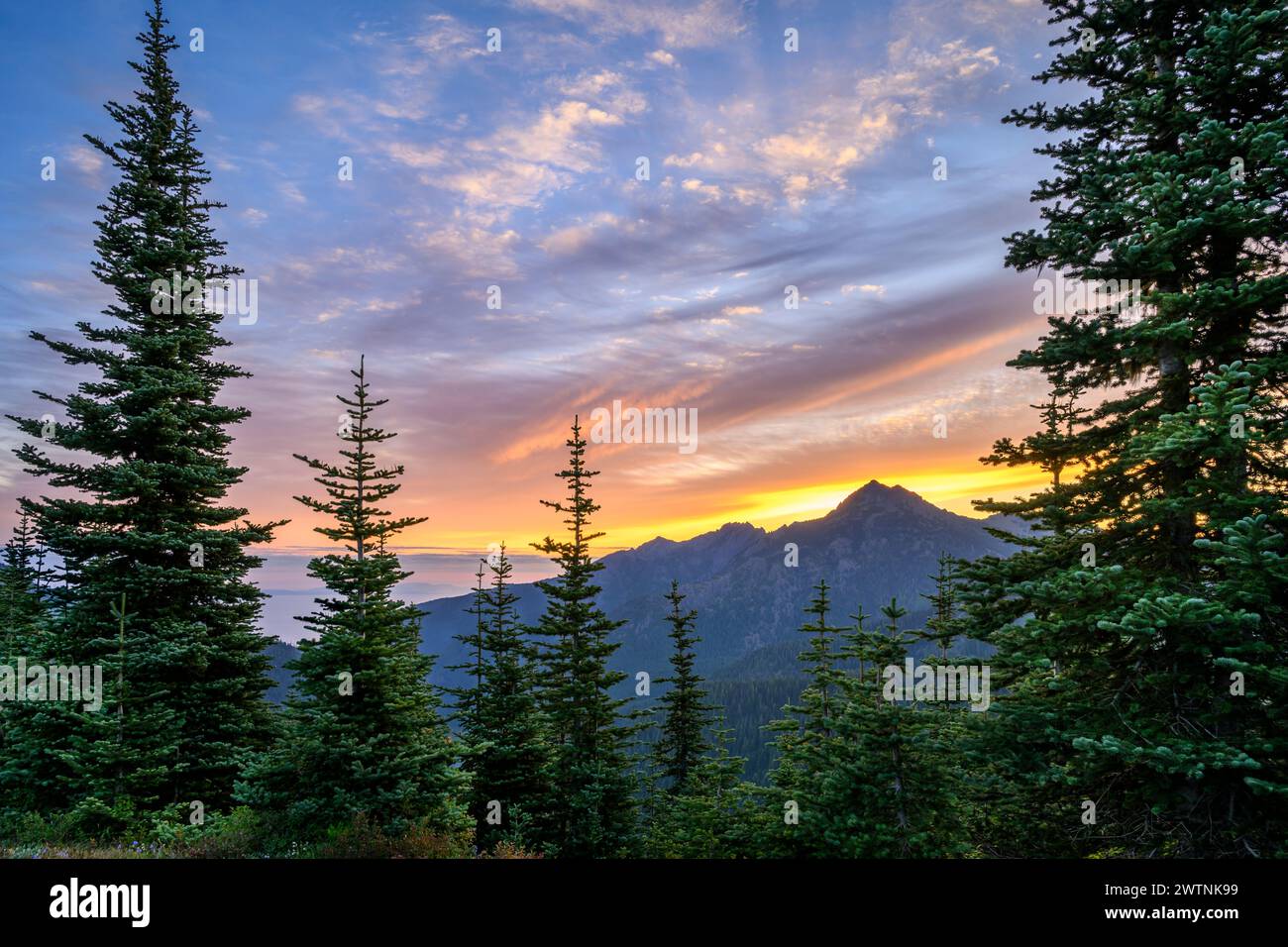 Tramonto dall'Hurricane Hill Trail, Olympic National Park, Washington, Stati Uniti. Foto Stock