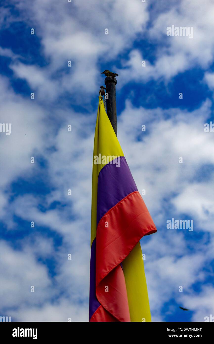 Uccello appollaiato sull'asta portante la bandiera colombiana in un pomeriggio Foto Stock