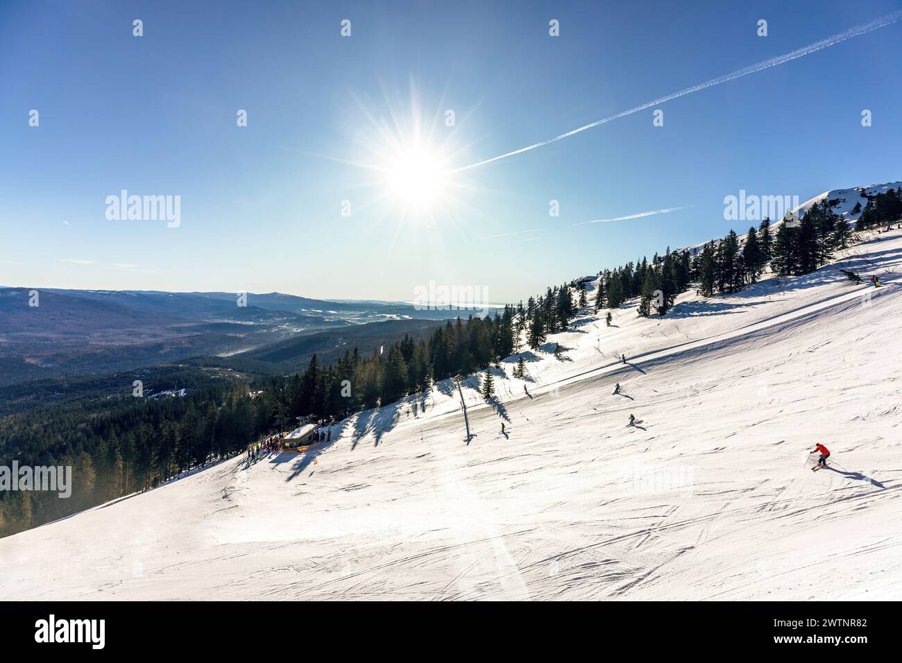 Vista invernale innevata sulla cima del monte arber nella foresta bavarese, germania Foto Stock