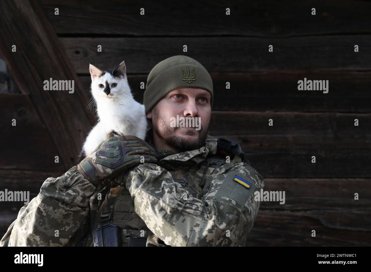 Soldato ucraino che salva l'animale. Piccolo gatto randagio sulla spalla dell'uomo, primo piano. Spazio per il testo Foto Stock