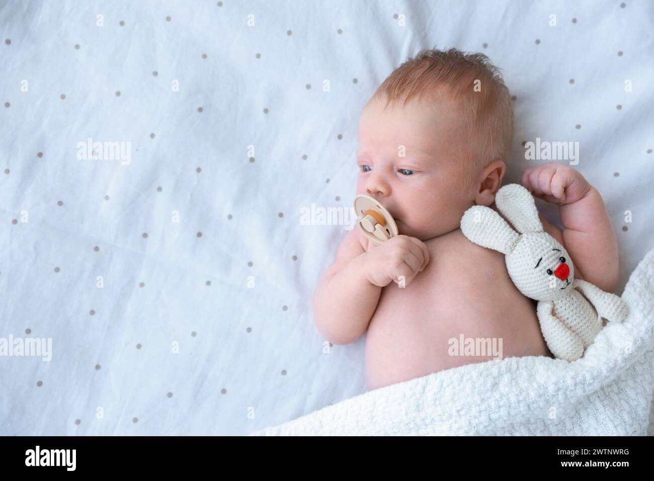 Bambino neonato carino con giocattolo sdraiato a letto, vista dall'alto. Spazio per il testo Foto Stock
