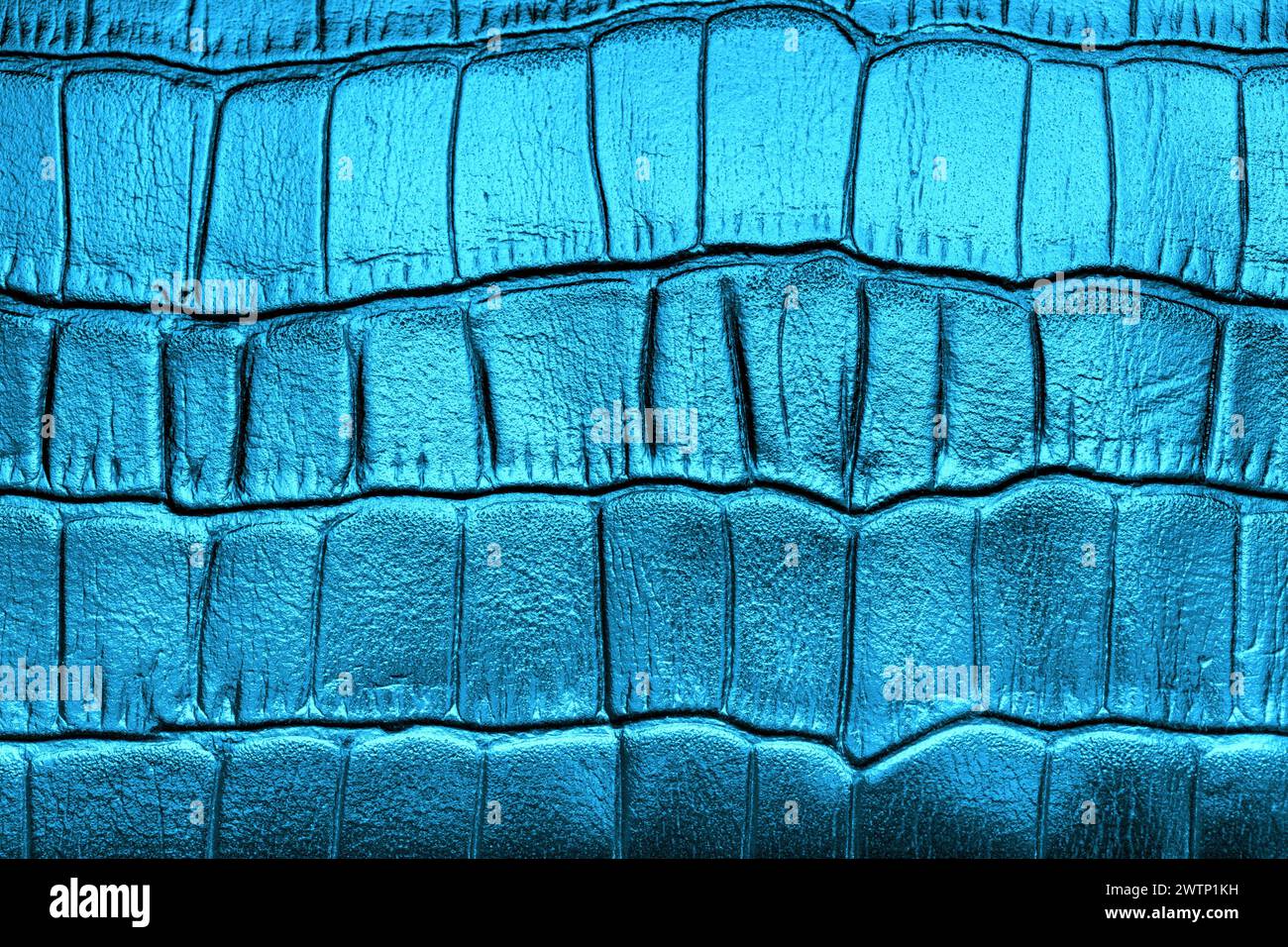 Pelle naturale con motivo geometrico, blu tinta. Macrofotografia della texture della pelle Foto Stock