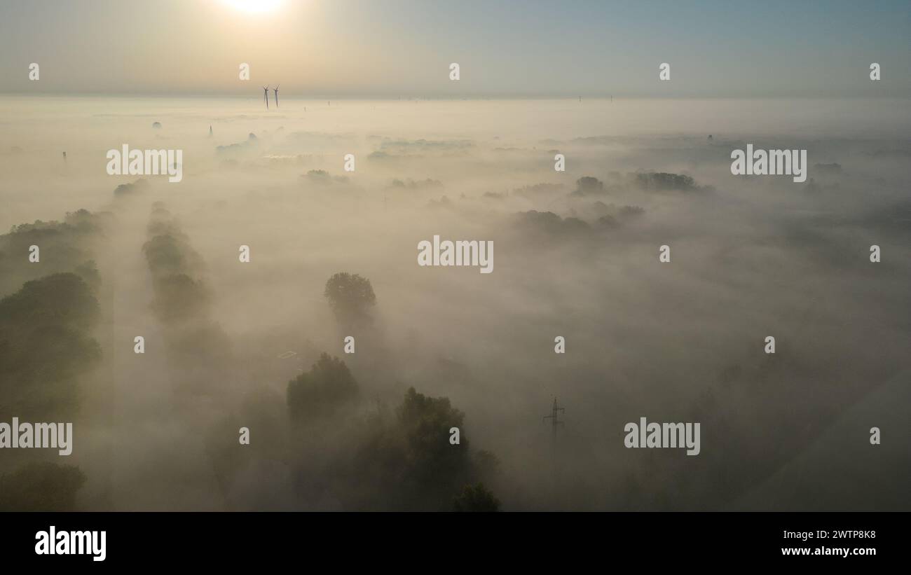 Questa fotografia aerea mostra una scena mozzafiato in cui una nebbia di prima mattina inonda una fitta foresta all'alba. La luce del sole nascente filtra attraverso la nebbia, emettendo una calda tonalità dorata sulle cime degli alberi e creando un effetto visivo stratificato. Le cime degli alberi sguardano fuori dalla coperta di nebbia, dando uno sguardo alla lussureggiante vegetazione sottostante. Le turbine eoliche lontane aggiungono un tocco di modernità al paesaggio naturale, suggerendo un equilibrio tra natura ed energia sostenibile. Foresta coperta all'alba a Mist. Foto di alta qualità Foto Stock