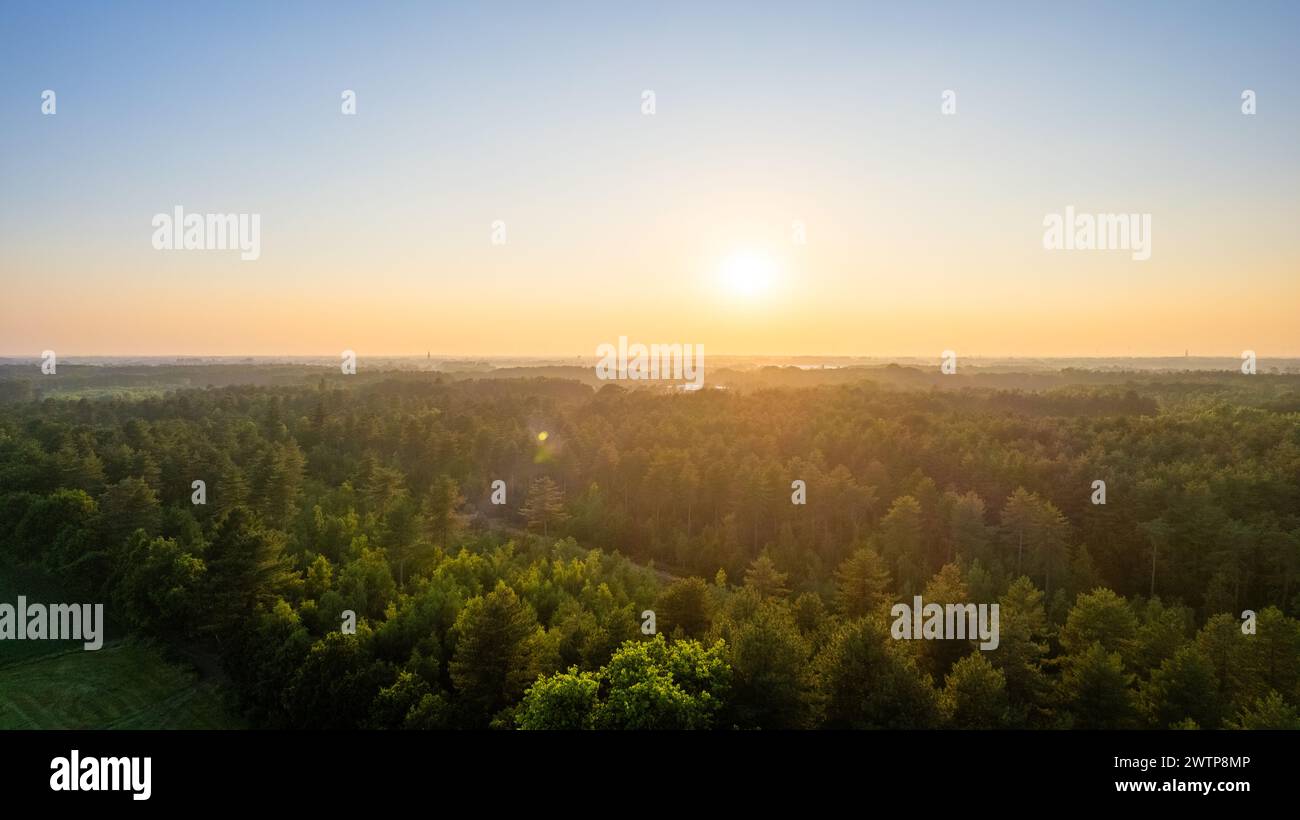 Questa immagine cattura una splendida alba, con raggi dorati che si riversano su un lussureggiante paesaggio della foresta. L'orizzonte è illuminato dal caldo bagliore del sole, offrendo una sensazione di rinnovamento e speranza. Le cime degli alberi sono evidenziate dalla luce del sole, suggerendo la brulicante vita che prospera al suo interno. Questa vista aerea ci dà un senso della grandezza del risveglio della natura. Alba dorata sulla lussureggiante foresta. Foto di alta qualità Foto Stock