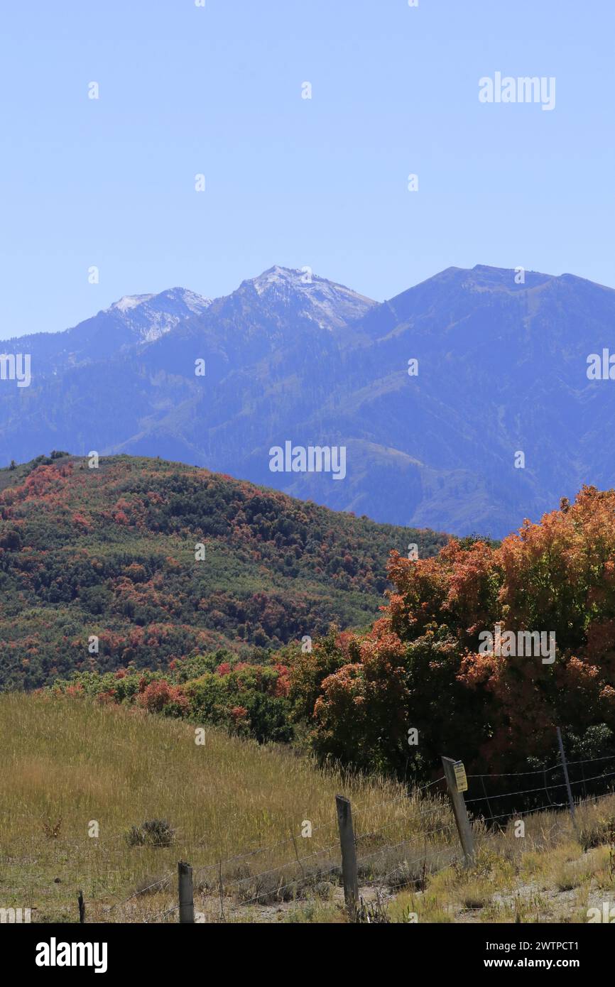 Montagne dello Utah nel Trappers Canyon all'inizio dell'autunno Foto Stock