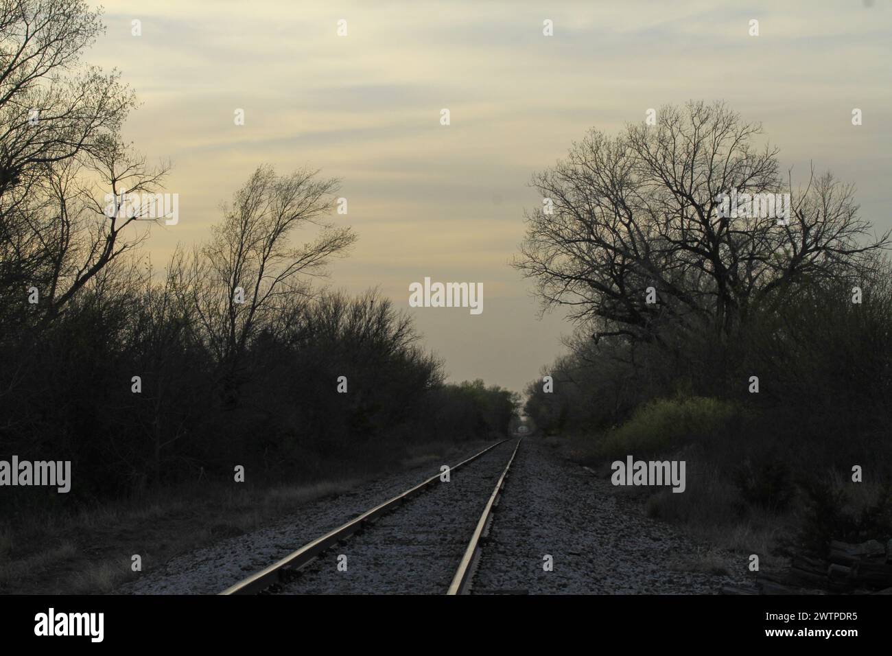 Kansas Sunset con nuvole, sentieri ferroviari e alberi Foto Stock