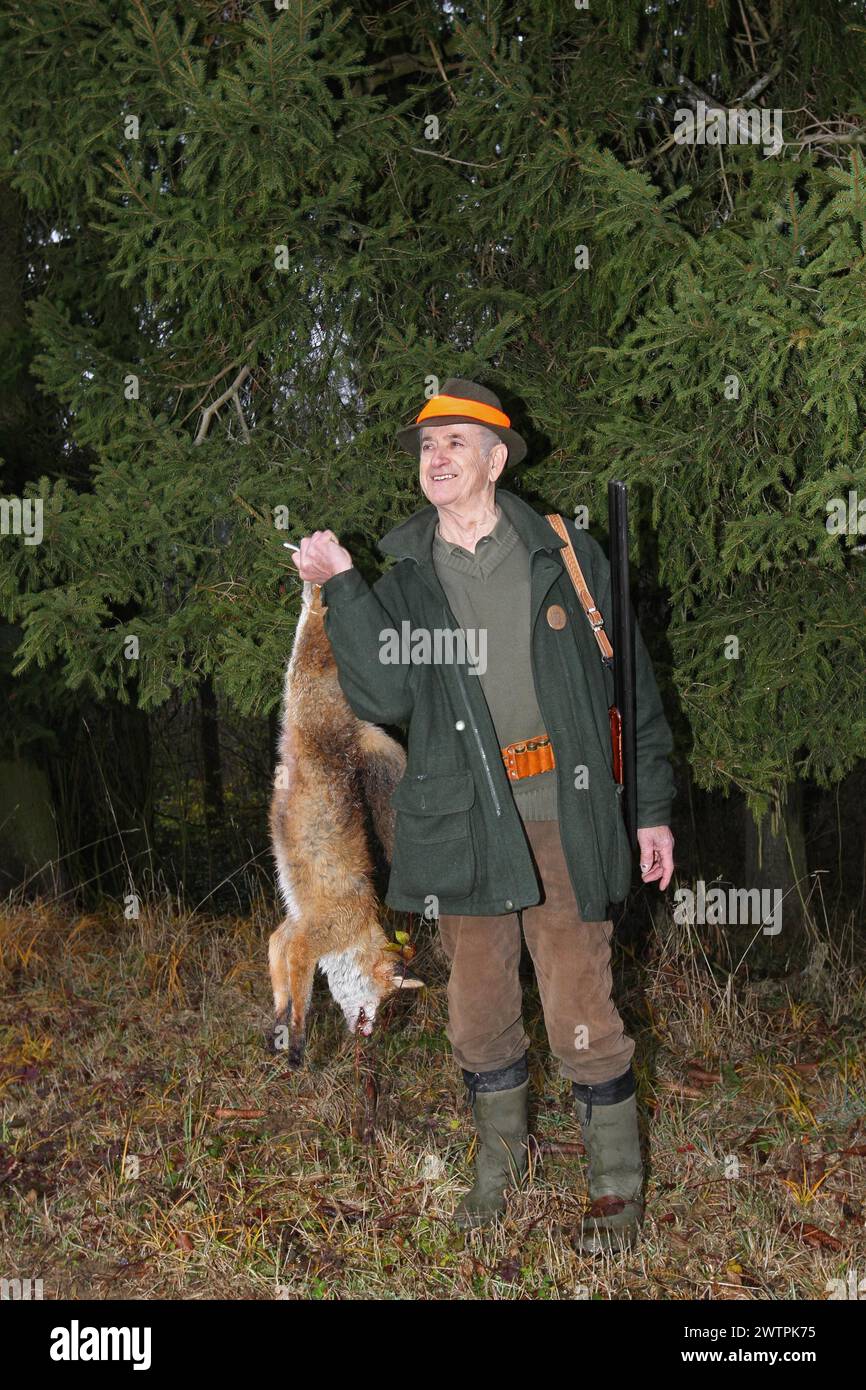 Cacciatore con una volpe rossa (Vulpes vulpes) sparato durante una caccia alle lepri brune (Lepus europaeus) bassa Austria, Austria Foto Stock