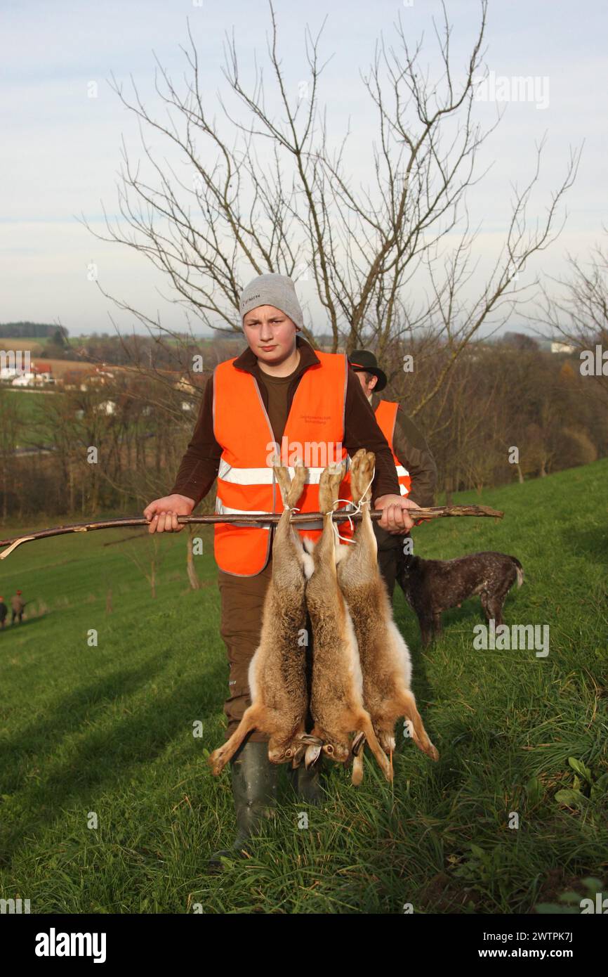 Assistenti di caccia, i cosiddetti fruste, con lepre (Lepus europaeus) bassa Austria, Austria Foto Stock