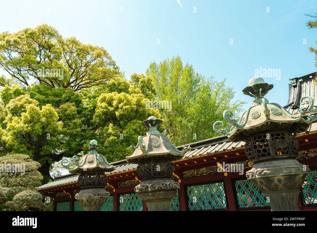 Ueno Park Toshogu santuario lanterne tradizionali a Tokyo, Giappone Foto Stock