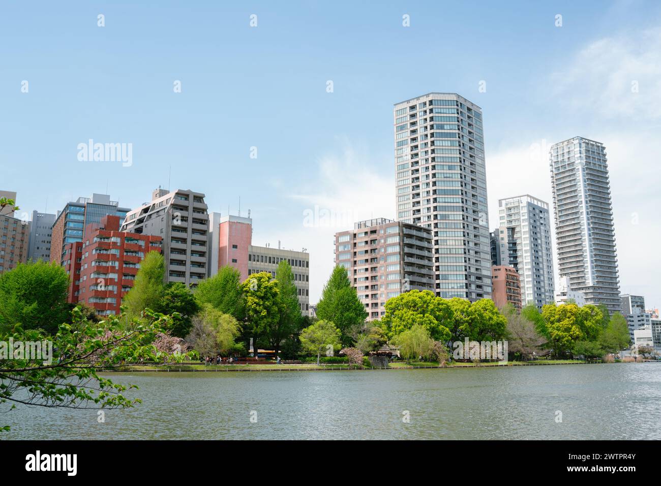 Parco Ueno stagno Shinobazu e grattacielo in primavera a Tokyo, Giappone Foto Stock