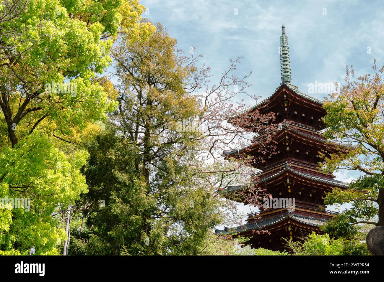 Ueno Park pagoda a cinque piani del tempio kanei-ji a Tokyo, Giappone Foto Stock
