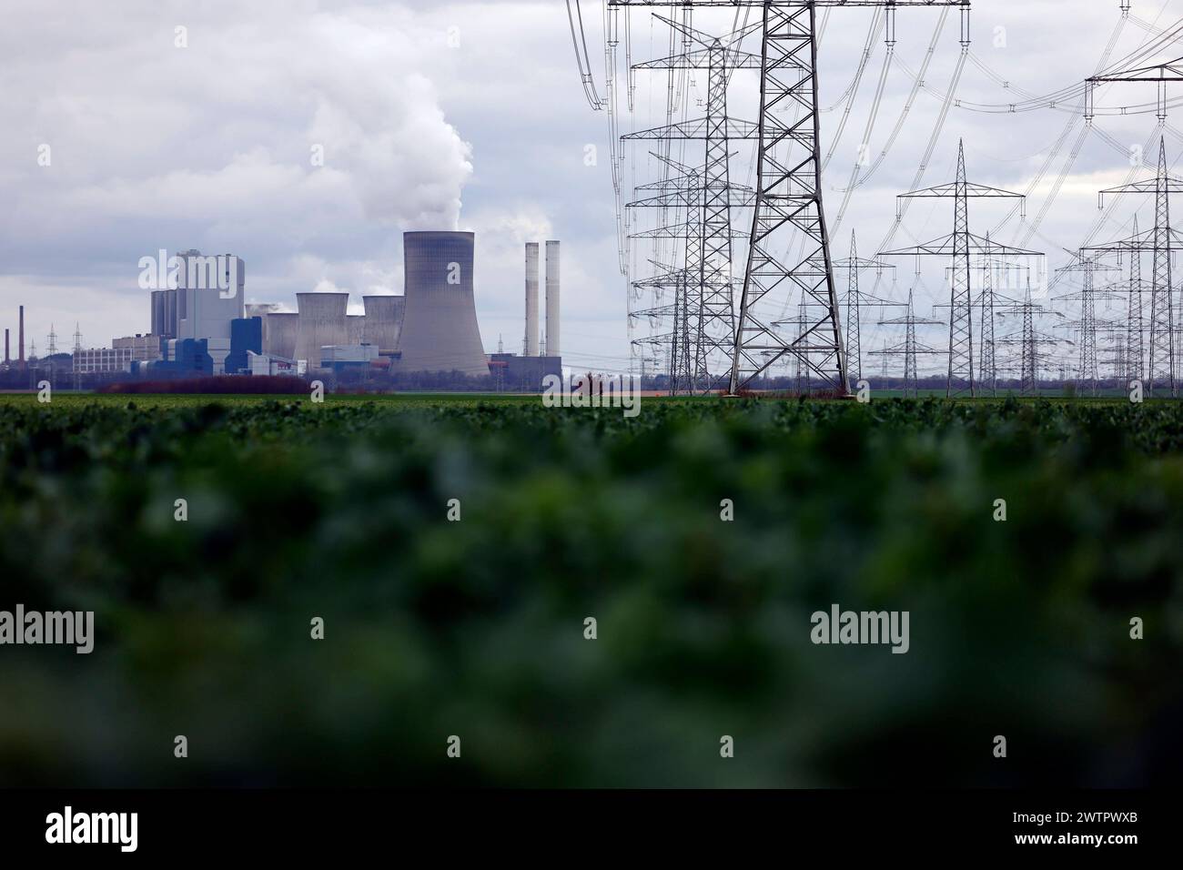 Strommasten und Windräder rund um das Kohlekraftwerk Niederaußem des Stromkonzerns RWE. Themenbild, Symbolbild. Bergheim, 18.03.2024 NRW Deutschland *** tralicci elettrici e turbine eoliche intorno alla centrale elettrica a carbone RWEs Niederaussem immagine a tema, immagine simbolica Bergheim, 18 03 2024 NRW Germania Copyright: XChristophxHardtx Foto Stock