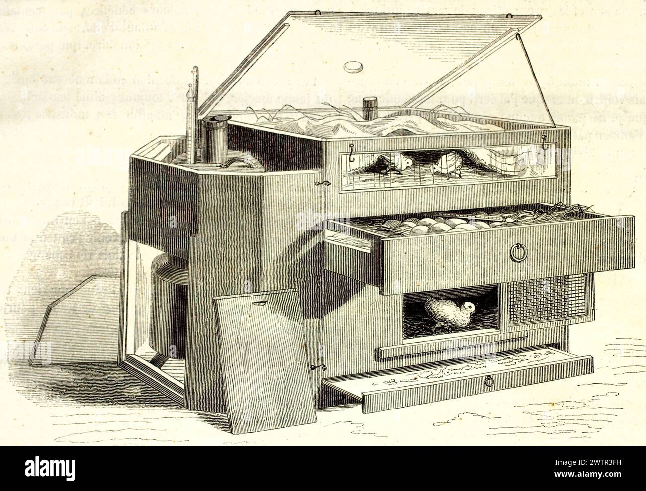 Incubatrice avicola antica per pulcini da cova e cova, vista in sezione da Magazin Pittoresque 1852, resa con incisione tecnica dettagliata. Foto Stock
