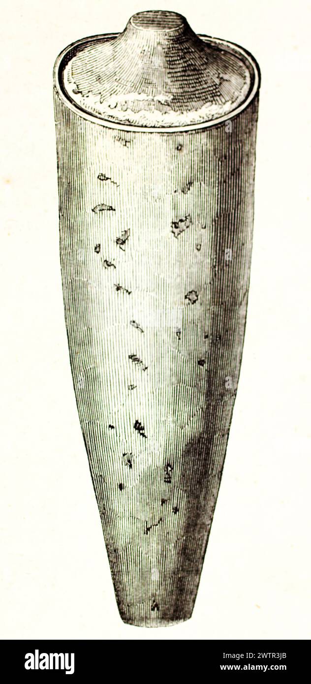 Vaso in terracotta contenente un Ibis Sacro mummificato, conservato al Museo Nazionale di storia naturale di Parigi. Pubblicato nel 1852 Foto Stock