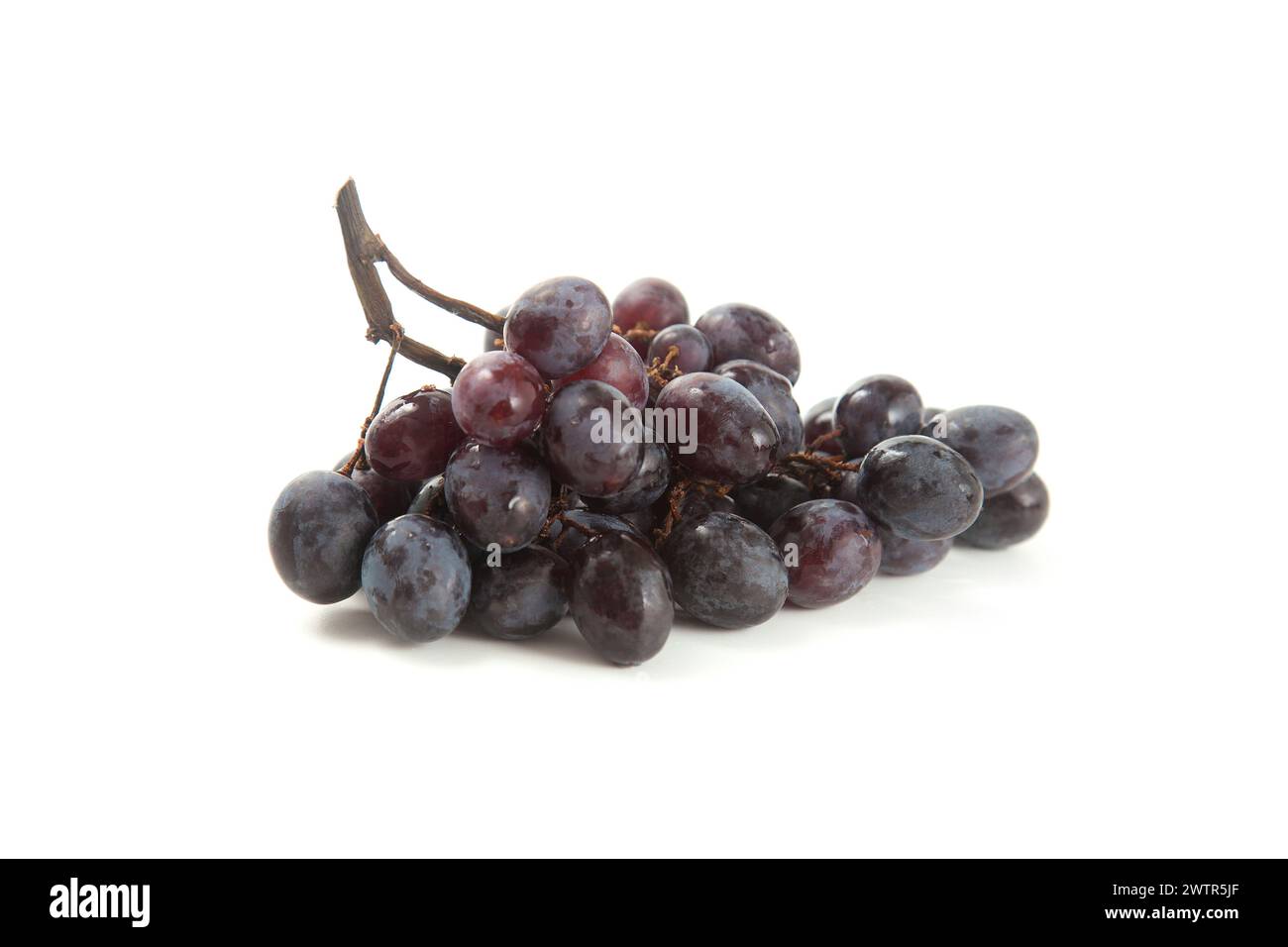 Grande mazzo di uva blu scuro maturo isolato su fondo bianco. Uva da vino viola con ombra morbida isolata sul bianco. Foto Stock