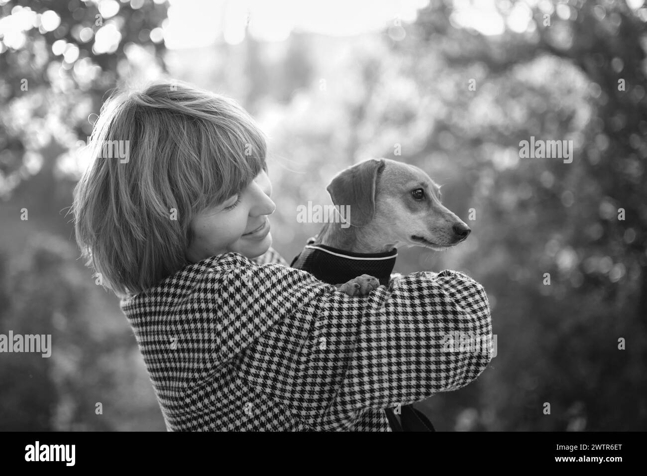 Proprietario che cammina insieme con il cane in un parco all'aperto, vacanze estive, adorabile concetto di animali domestici, amicizia tra l'uomo e il suo animale domestico. Dachshund in maglione foto di alta qualità Foto Stock