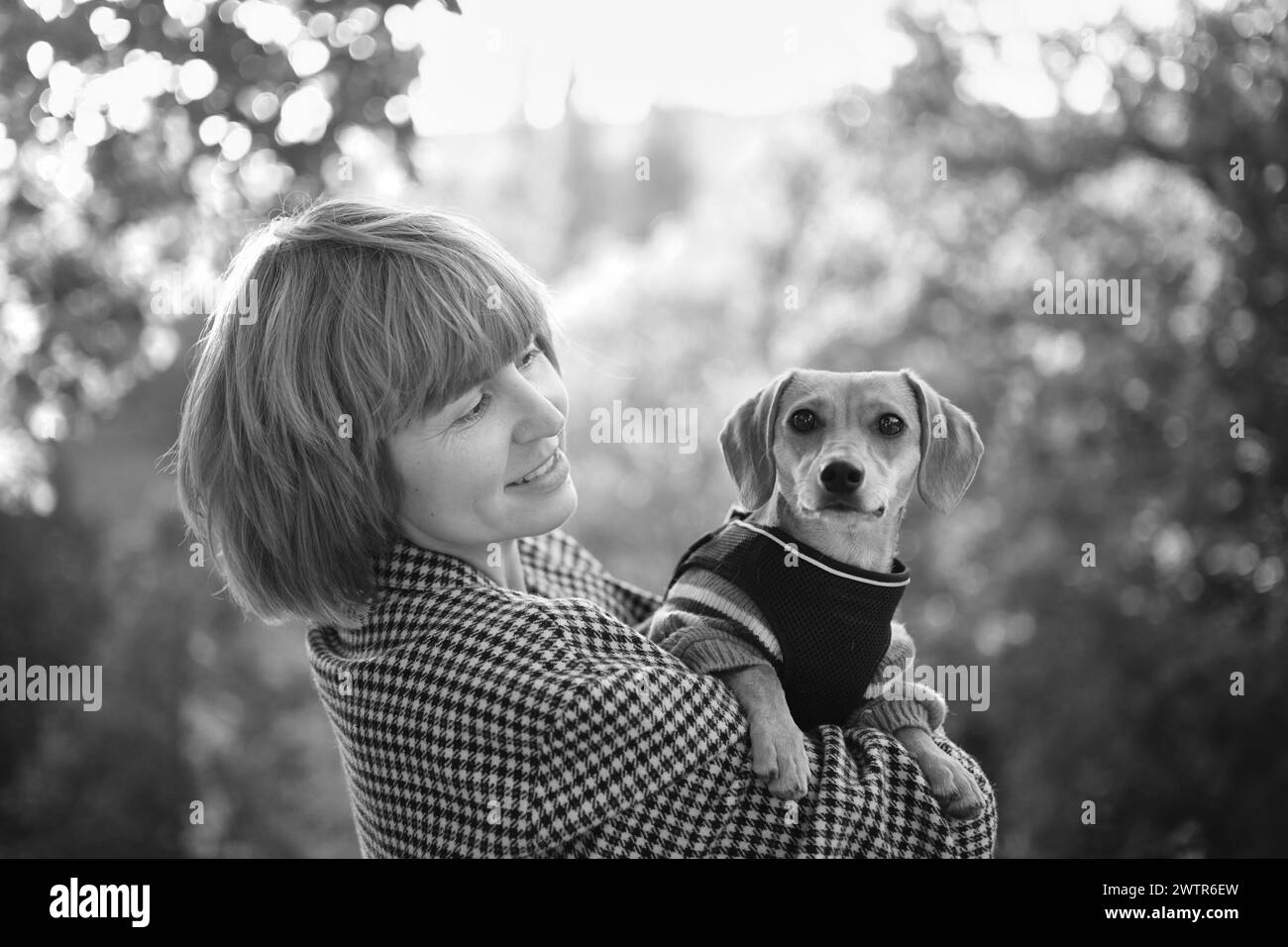 Proprietario che cammina insieme con il cane in un parco all'aperto, vacanze estive, adorabile concetto di animali domestici, amicizia tra l'uomo e il suo animale domestico. Dachshund in maglione foto di alta qualità Foto Stock