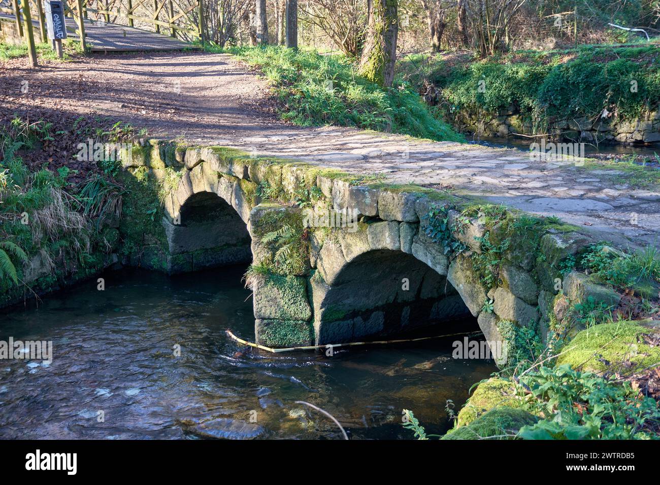 Il ponte Sárdoma è un ponte medievale che attraversa il fiume Lagares nella parrocchia di Vigo di Sárdoma. Potrebbe avere origini romane, anche se il curren Foto Stock