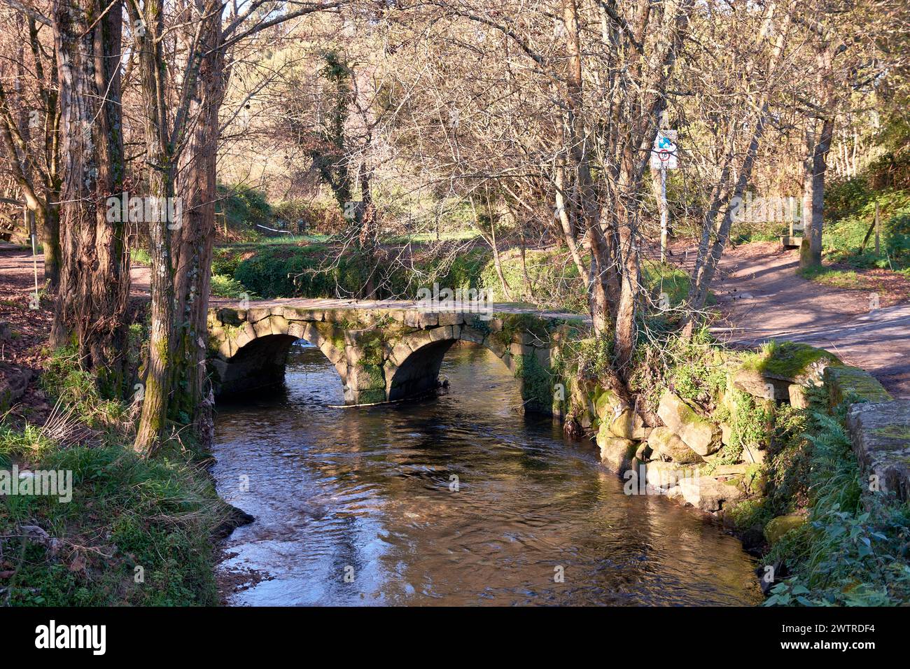 Il ponte Sárdoma è un ponte medievale che attraversa il fiume Lagares nella parrocchia di Vigo di Sárdoma. Potrebbe avere origini romane, anche se il curren Foto Stock