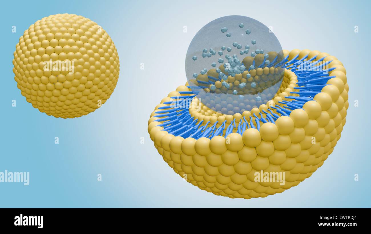 rendering 3d della nanomedicina all'interno del bilayer lipidico liposomico Foto Stock
