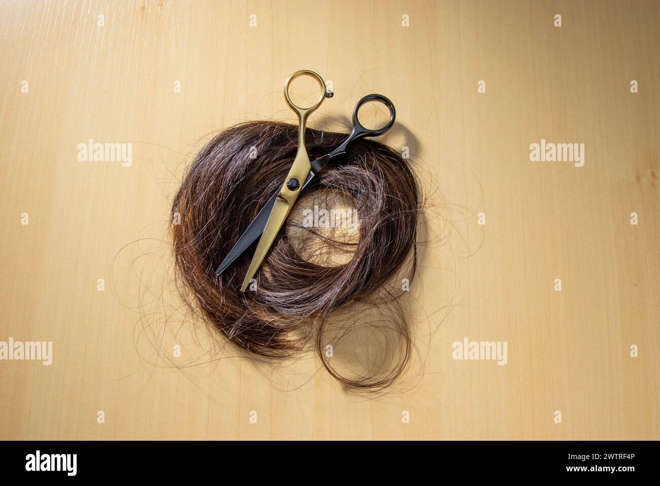 Un paio di forbici dorate e un pettine per capelli nero con fili di capelli marroni su un tavolo Foto Stock