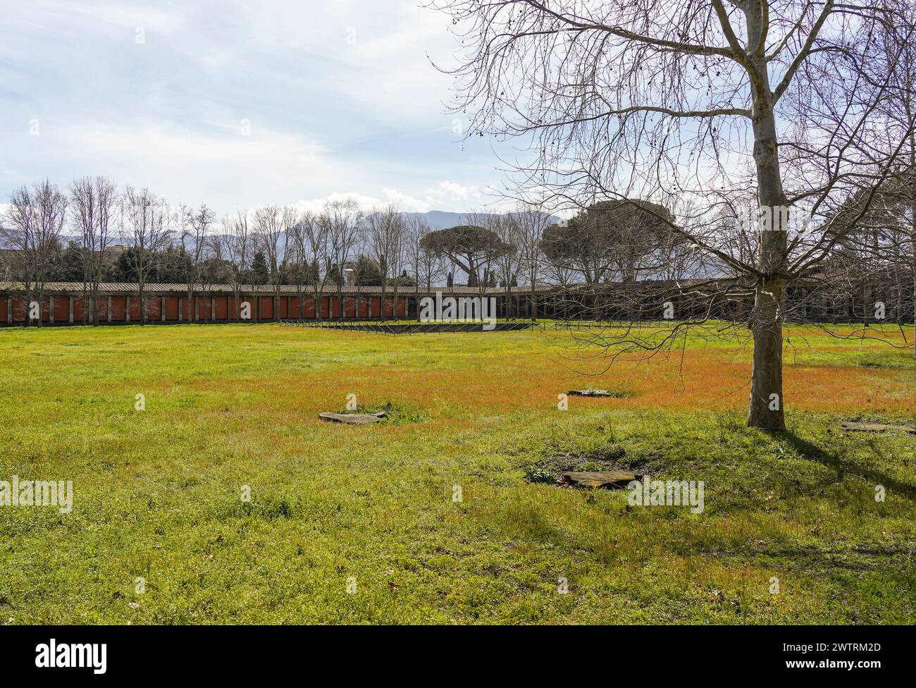 Palaestra grande, antica palestra di piazza romana e le attività sportive svolte, Pompei, Napoli, Italia, Europa. Foto Stock