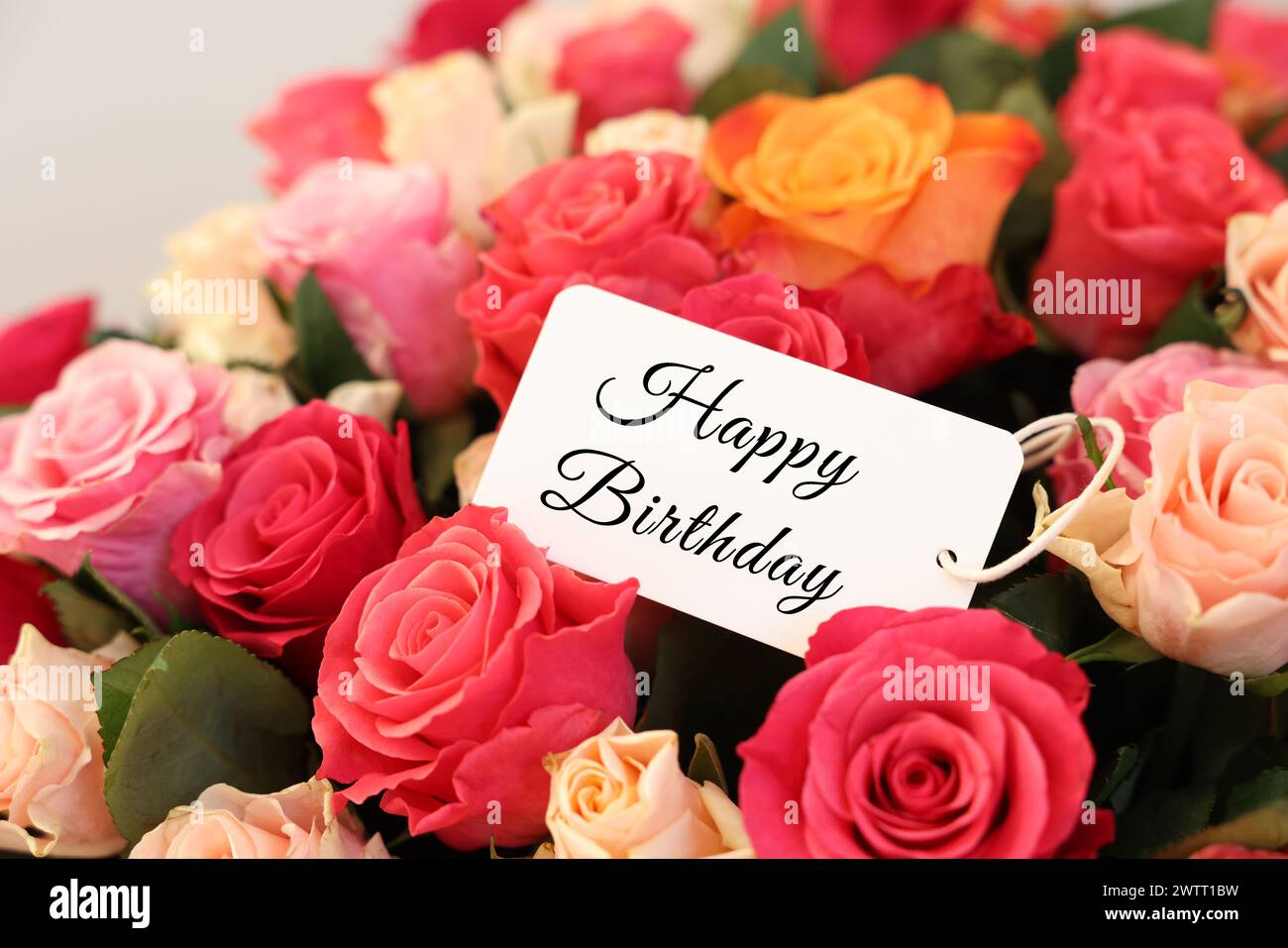 Bouquet di splendide rose con tessera Happy Birthday, primo piano Foto Stock