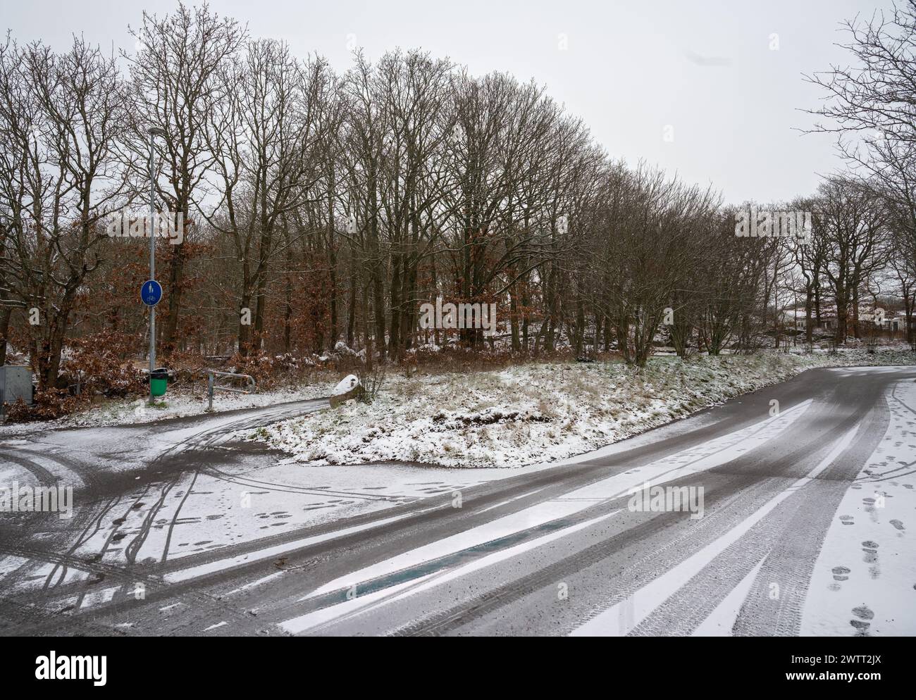 Strada coperta di neve con alcuni alberi Foto Stock