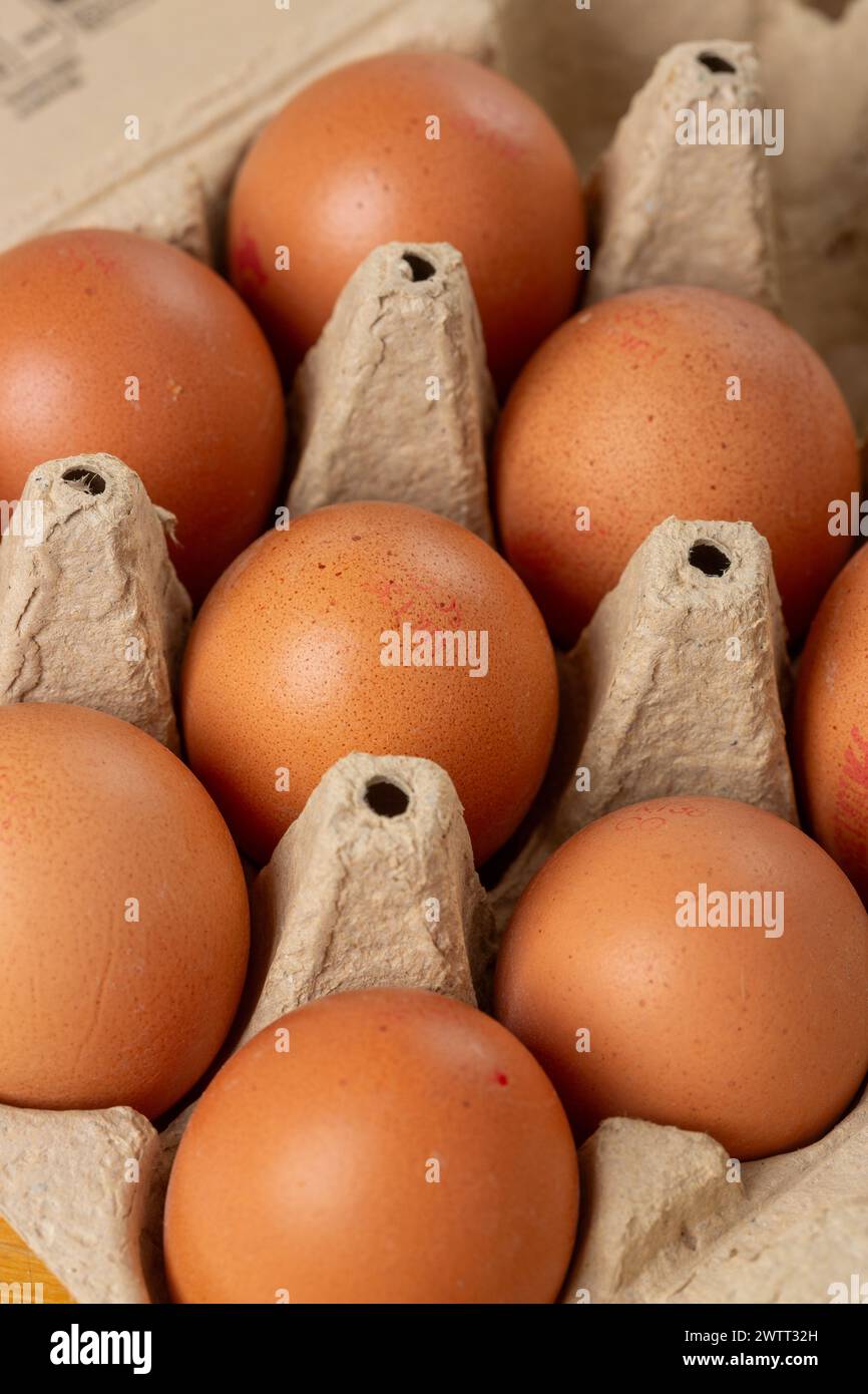 Uova di pollo in una scatola per uova Foto Stock