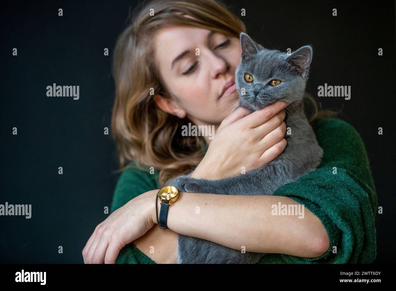 Un momento tenero tra una donna e il suo gatto grigio Foto Stock