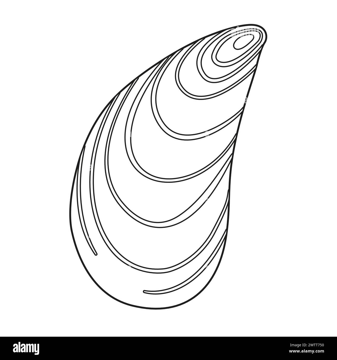 Illustrazione vettoriale Seashell. Profilo in bianco e nero pagina da colorare Seashell per bambini e adulti. Pagina per relax e meditazione. Illustrazione vettoriale Illustrazione Vettoriale