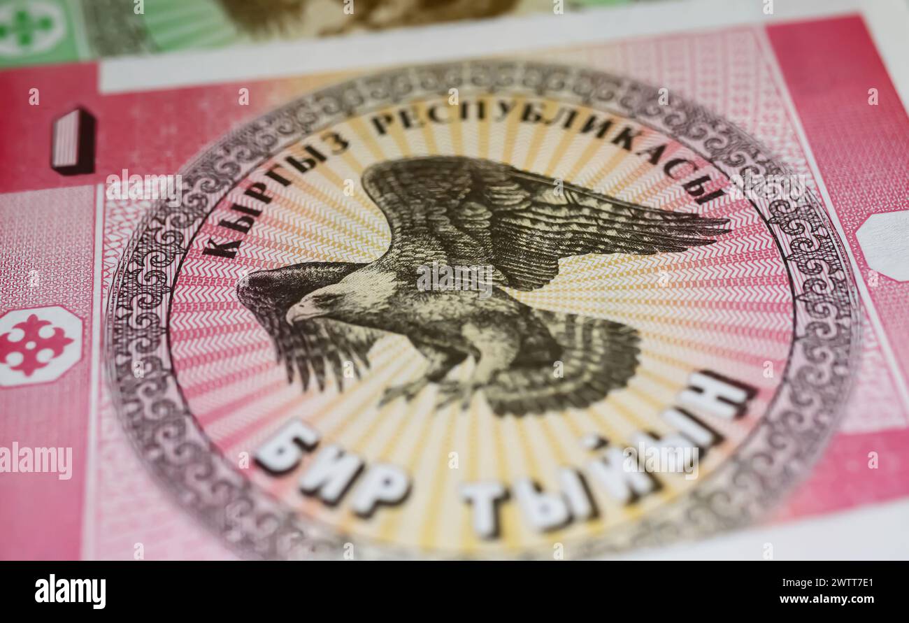 Primo piano della vecchia banconota del Kirghizistan Som del 1993 Foto Stock