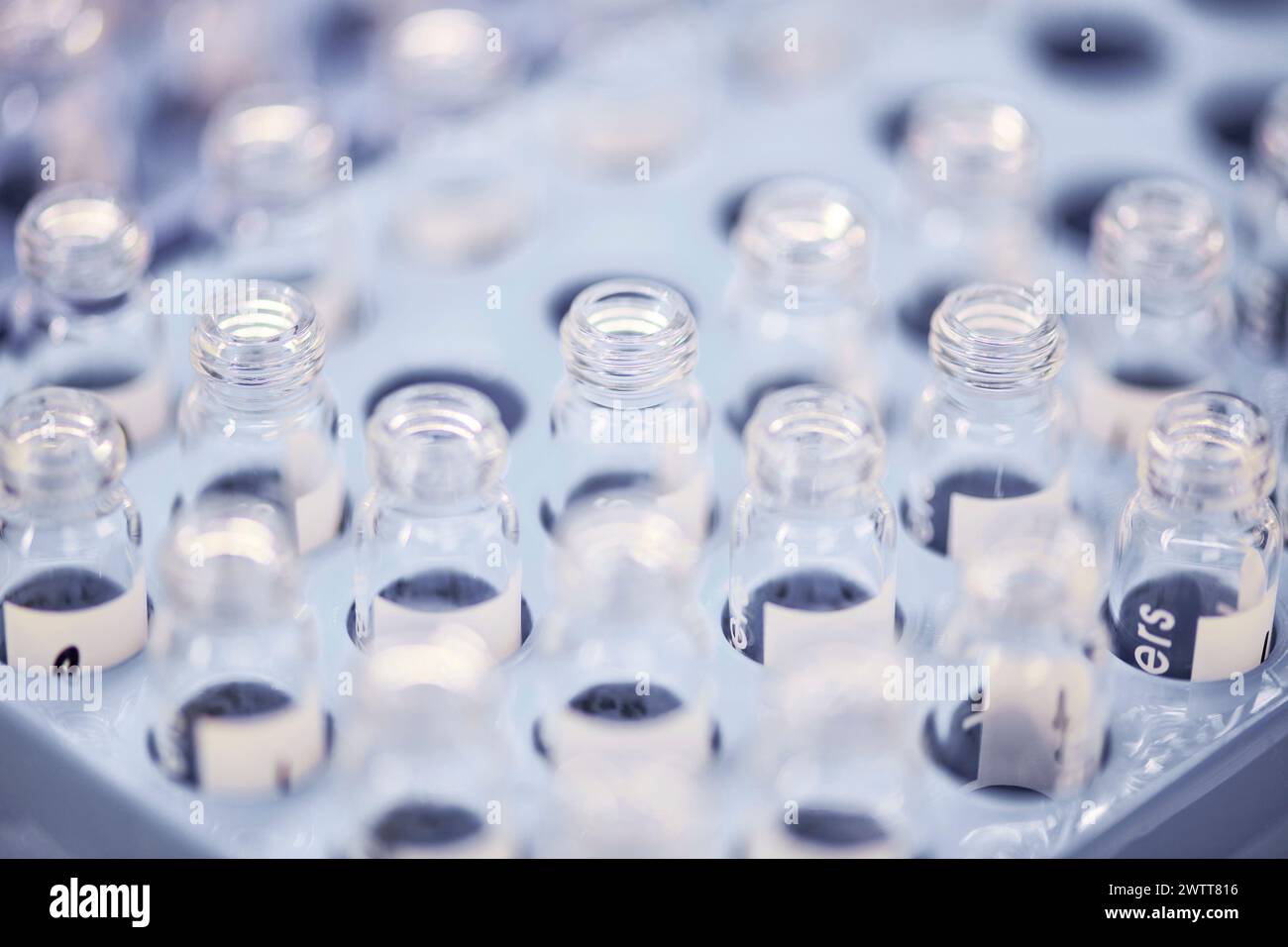 chiudere la provetta vuota in contenente per esperimenti scientifici Foto Stock