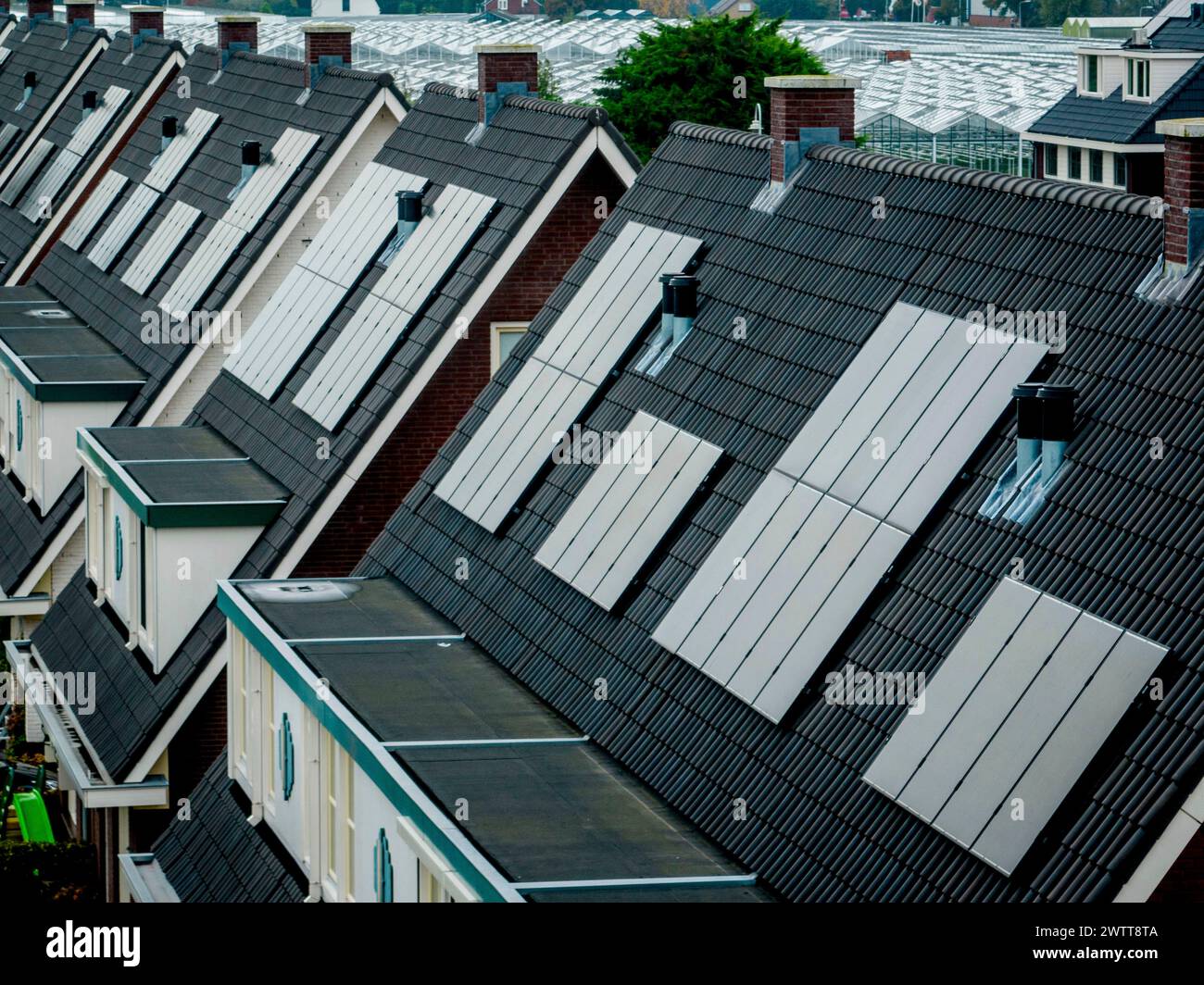 File di case con tetti uniformi sotto un cielo coperto Foto Stock