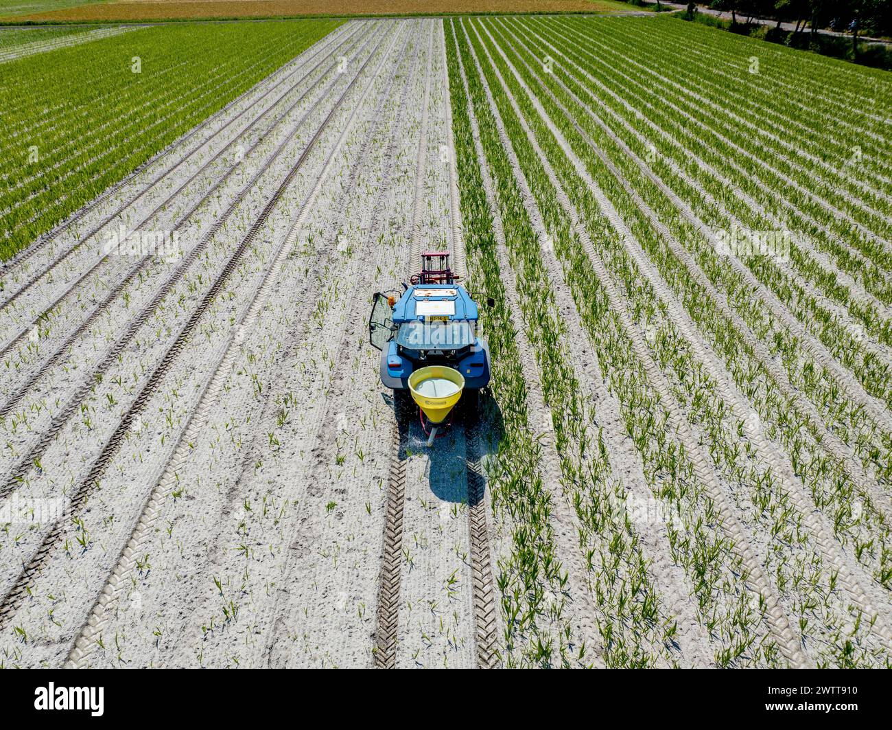 Un agricoltore che tende a coltivare con un trattore in una giornata di sole Foto Stock