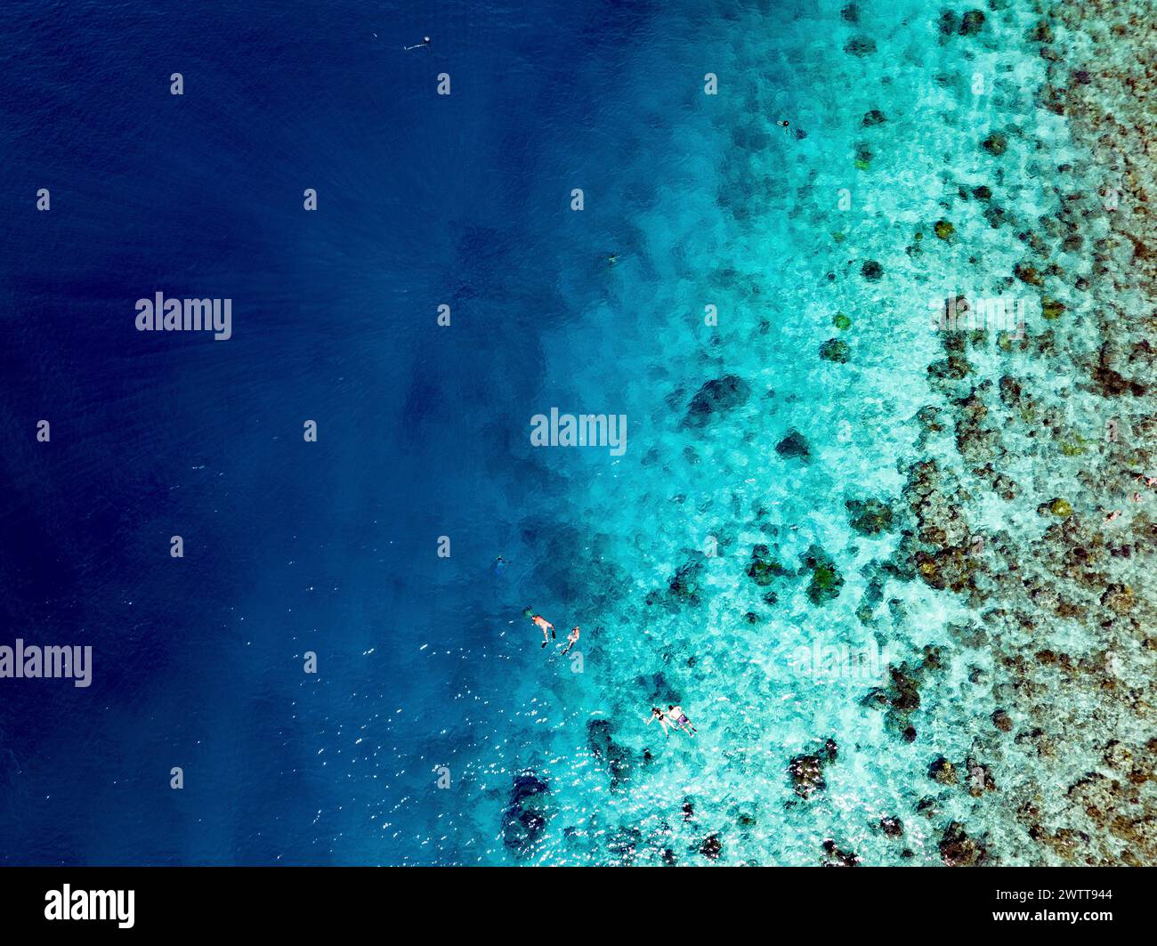 Gli amanti dello snorkeling esplorano una vivace barriera corallina dall'alto Foto Stock