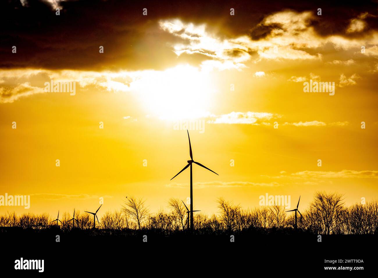 Ora d'oro con turbine eoliche contro un cielo vibrante Foto Stock