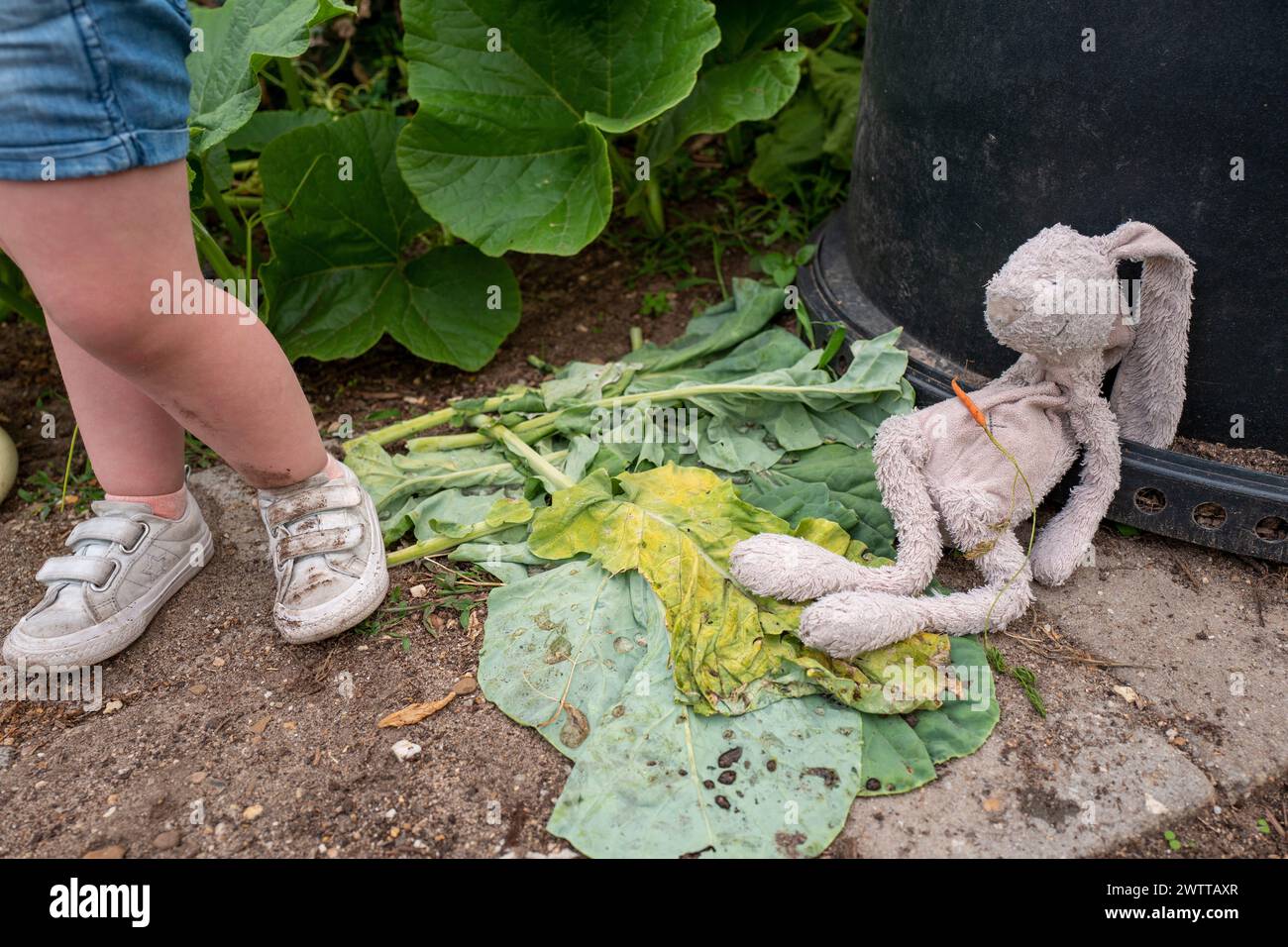 Il giocattolo dimenticato di un bambino si trova abbandonato accanto a una pianta di rabarbaro Foto Stock
