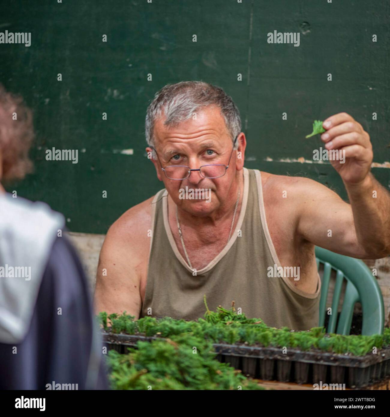 Un giardiniere esperto che condivide saggezza durante una sessione di semina. Foto Stock