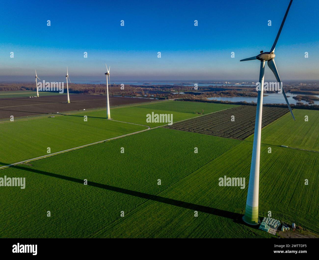 Turbine eoliche che torreggiano su campi verdi sotto un cielo azzurro Foto Stock
