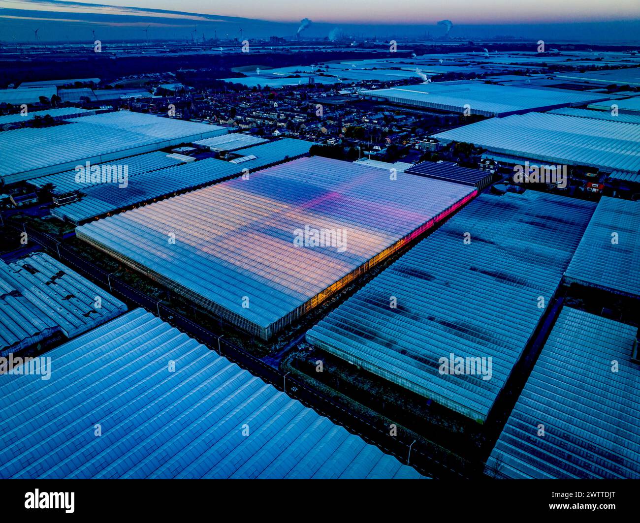 Vista aerea di un vasto complesso di serre al crepuscolo Foto Stock