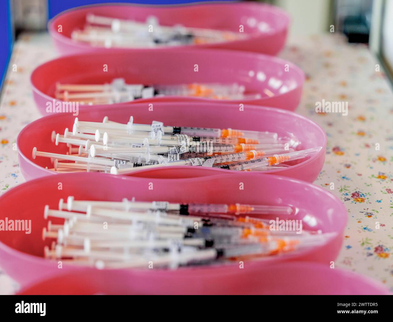 Siringhe preparate di seguito per la vaccinazione Foto Stock