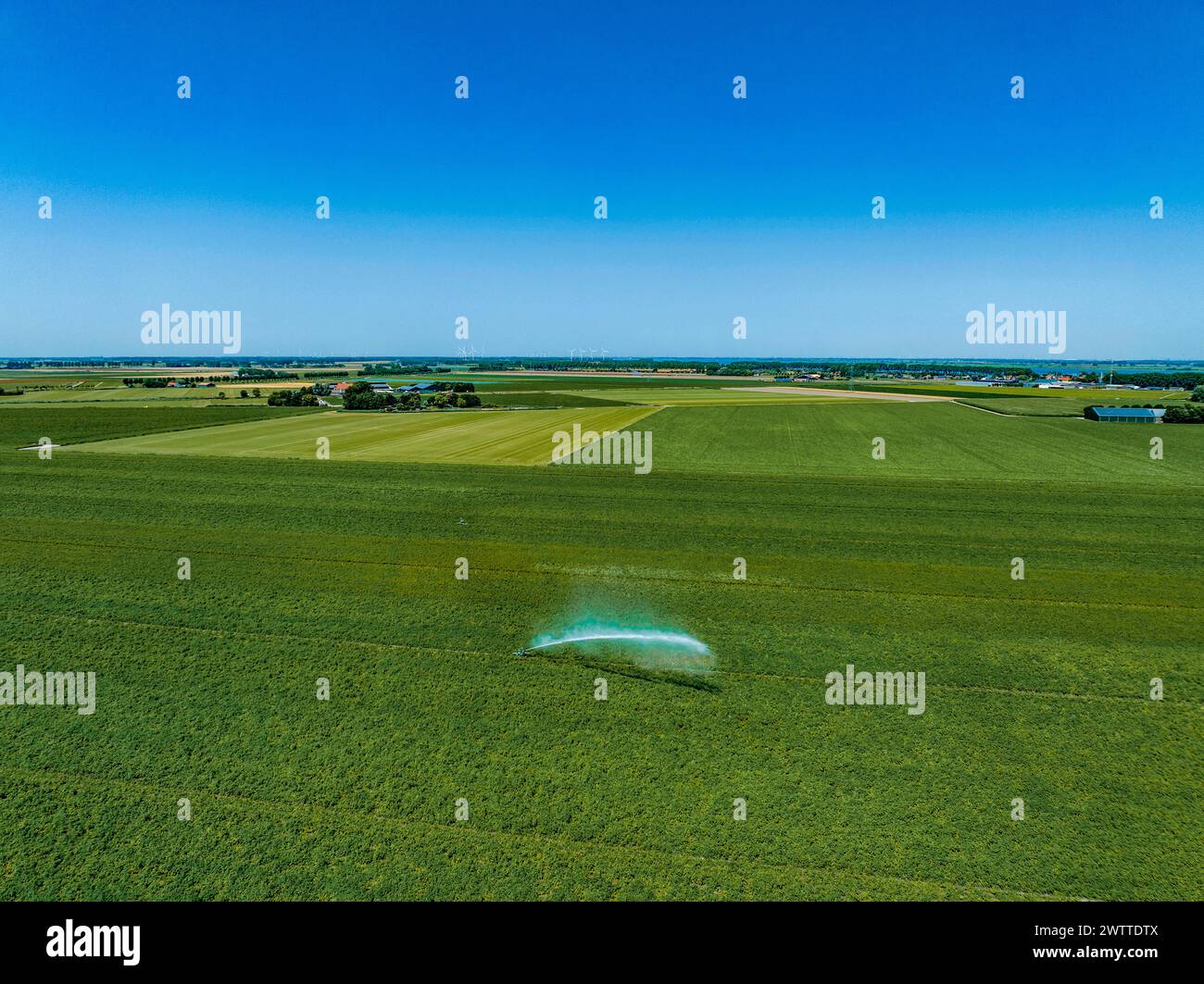 Vista aerea dei lussureggianti campi verdi con una spruzzata d'acqua Foto Stock