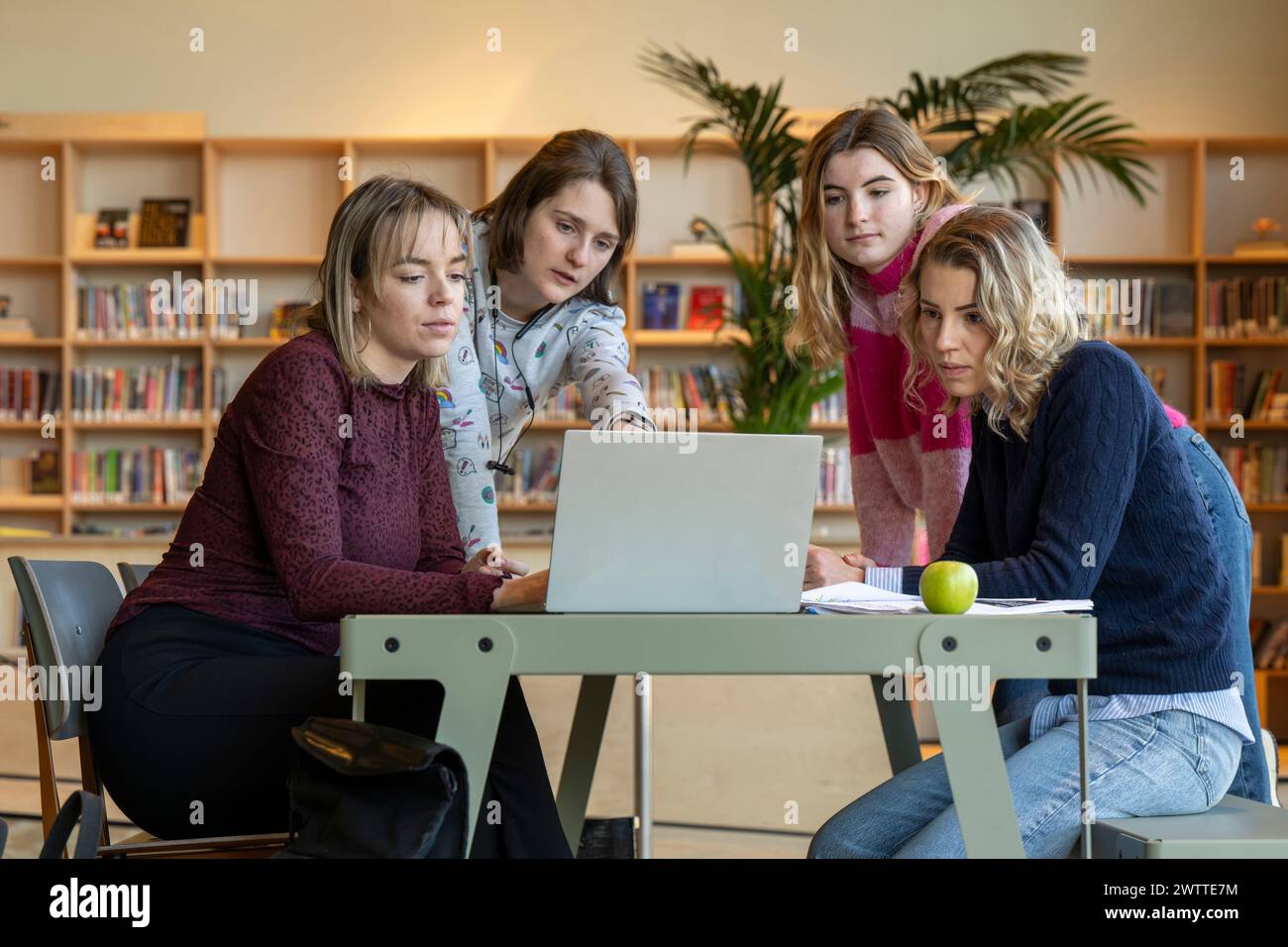 Un gruppo di studenti concentrati che collaborano a un progetto al tavolo di una biblioteca con un notebook. Foto Stock